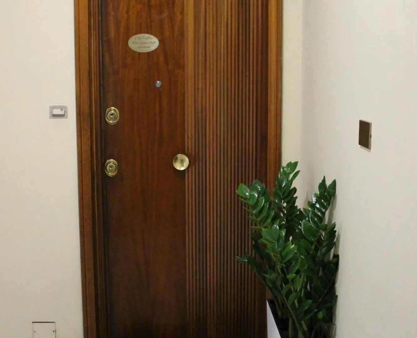 New Green Hill Apartment Rome